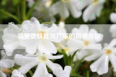 調(diào)整墊鐵批發(fā)廠家的簡(jiǎn)單介紹